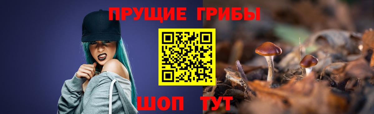 как найти наркотики  Вход с VPN  Джанкой  Псилоцибиновые грибы Psilocybe  Галлюциногенные грибы Cubensis 